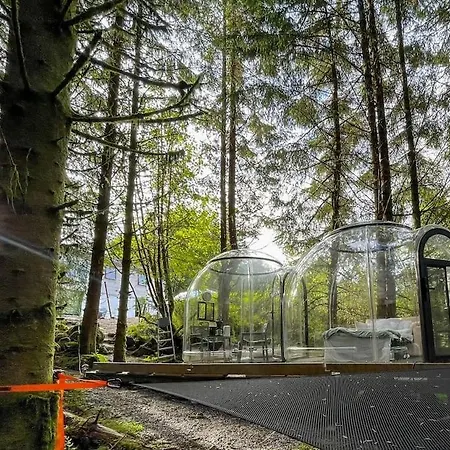 Magical Forest Haven Dome * Bergen