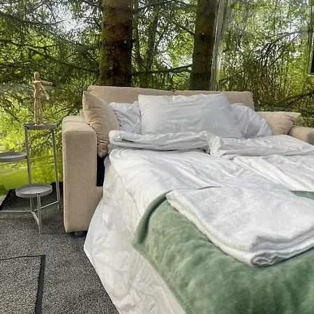 Apartment Magical Forest Haven Dome Bergen