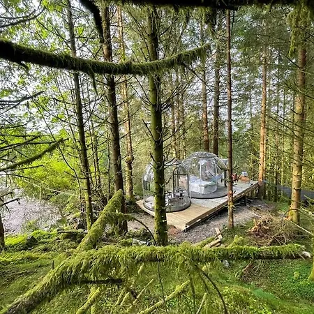 Magical Forest Haven Dome * Bergen