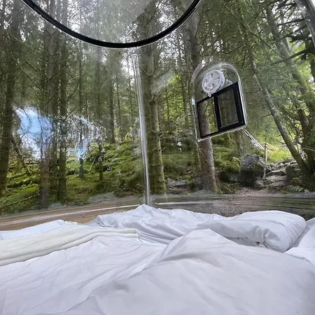 Апартаменты Magical Forest Haven Dome