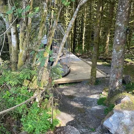 Magical Forest Haven Dome Apartamento Bergen