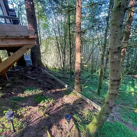 Apartamento Magical Forest Haven Dome *