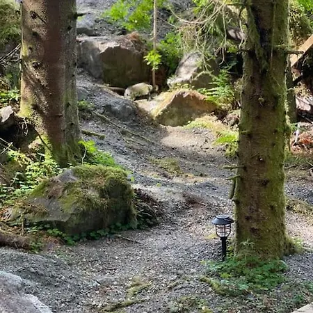 Magical Forest Haven Dome Апартаменты *